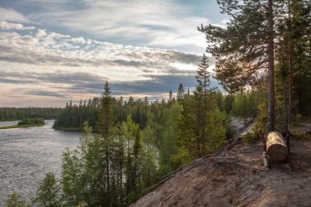 лес в Карелии Карельский лес