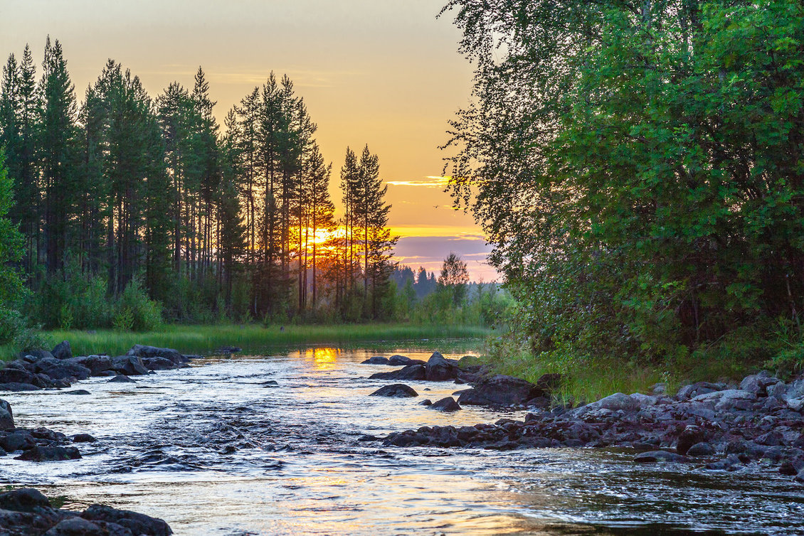 Карельский лес Природа Карелии
